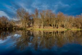 goodly Lakeside Fishing