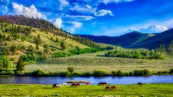 wonderful Wyoming America Landscape