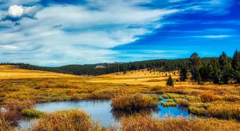 Wyoming Panorama