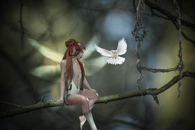Girl elf on the branch with white dove