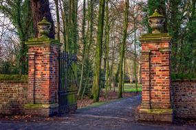 impressively beautiful Trees and Wall in Park