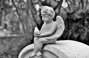 Angel Cemetery statue grey