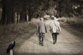 people Elderly walk