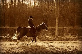 man on horseback in the countryside