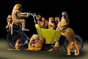 World Ape Composing