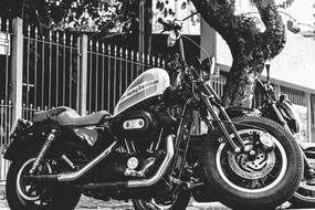 speed Motorcycle black and white