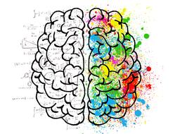 brain mind colors drawing