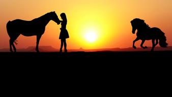 landscape of horses and girl at sunset in nature