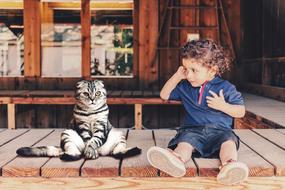 Child and Cat Sit
