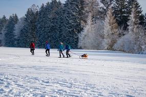 Landscape of the people are on a snowy hill in Winter