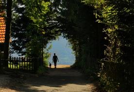 hiking man and dog