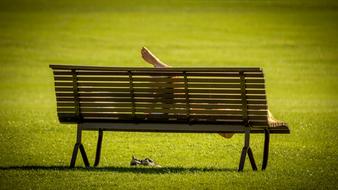 girl sunbathes on a park bench