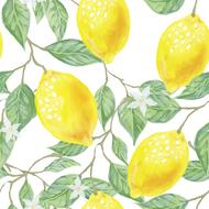 leaf green yellow lemon drawinh
