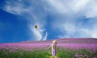 Fantasy of Summer