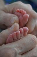 Holding gorgeous Baby Feet
