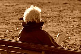 grey haired Elderly Man Sitting with newspaper on bench