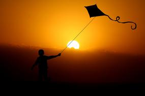 silhouette of a boy with a kite on a background of golden sunset