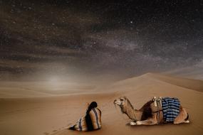 image of a man and a camel in the desert against the background of the starry sky