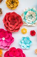 Flowers Paper
