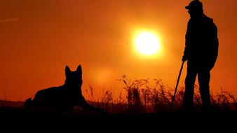 silhouettes of Dog and Man with stick at Sunset sky