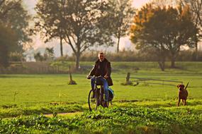 cyclist with dog