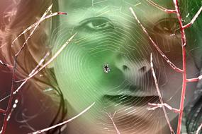 image of a web on a photo portrait of a girl