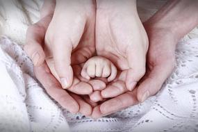 hands of newborn and parents