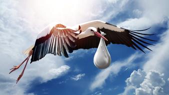 stork with a baby flying under the clouds
