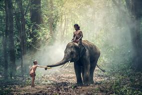 children ride an elephant in the rainforest