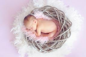 Baby Girl Sleeping on fur in nest