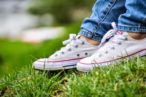 white fabric sneakers on the green grass