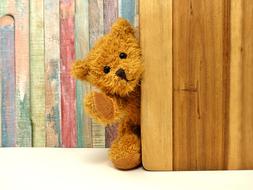 brown soft bear