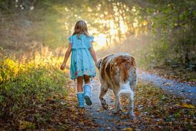 Child girl with big Dog walking away on path in Forest at fall