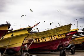 a flock of seagulls flies over the boats on the pier