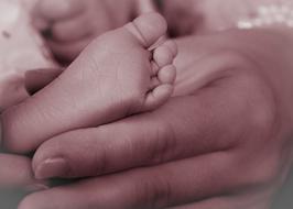 Baby Newborn Feet close-up
