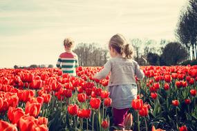 Girls and Tulips