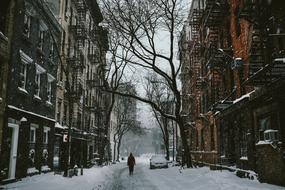 Person Walk on Street