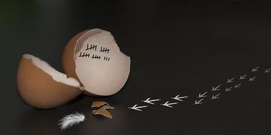 prison shells and footprints