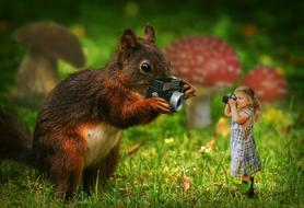 Squirrel and Girl with Camera
