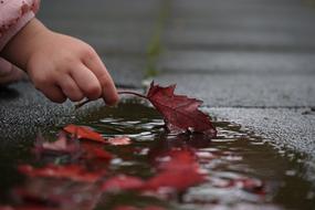 Autumn Hand red