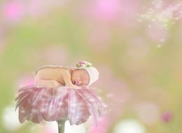 Baby sleep on Gerbera
