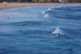 recreation for surfers