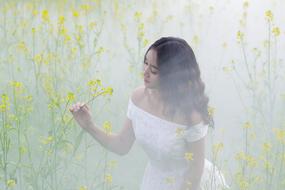 woman on the misty meadow