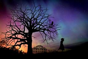 silhouette of a girl against the background of a colorful starry sky