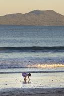 distant view of a child on wet sand on the coast
