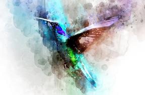bird as a watercolor drawing