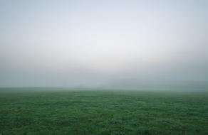 green Grass Field fog