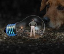 man in a light bulb near a dog