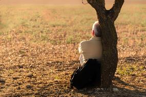 old Man Solitude Tree