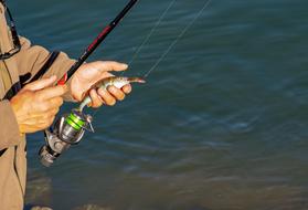 fishing, detail, spinning in male hands at water